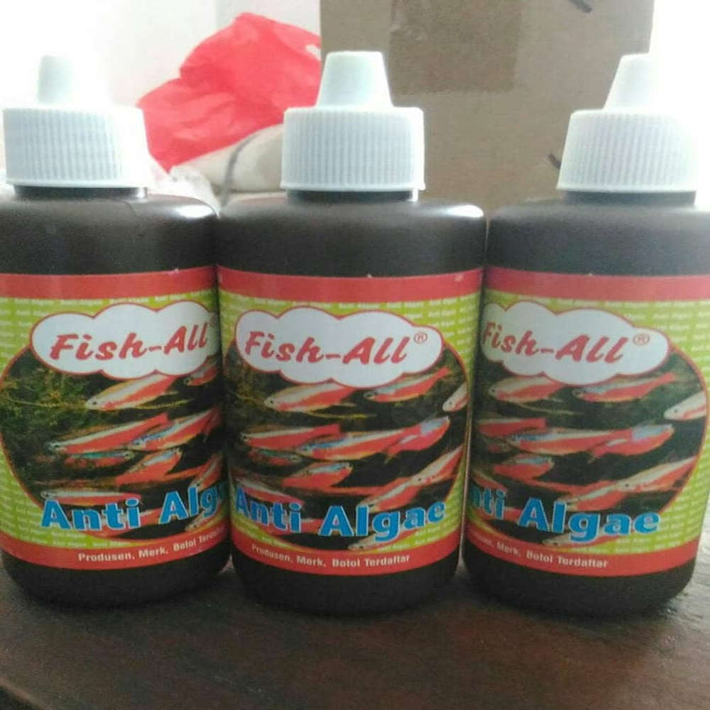 Obat Anti Alga Pembersih Lumut Kena Sinar Matahari Berlumutan