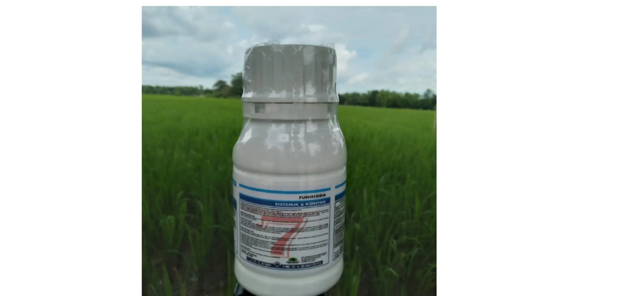 Fungisida Trendsida 325 Sc 250 Ml Trensida Obat Trendsida Anti Jamur Tanaman Boster Padi 7 Bahan Aktif Produk Asli Laris Trendsida 325 Sc Pengganti 335 Wsc Untuk Jamur Potong Leher Bobot Padi Sawah Lazada Indonesia