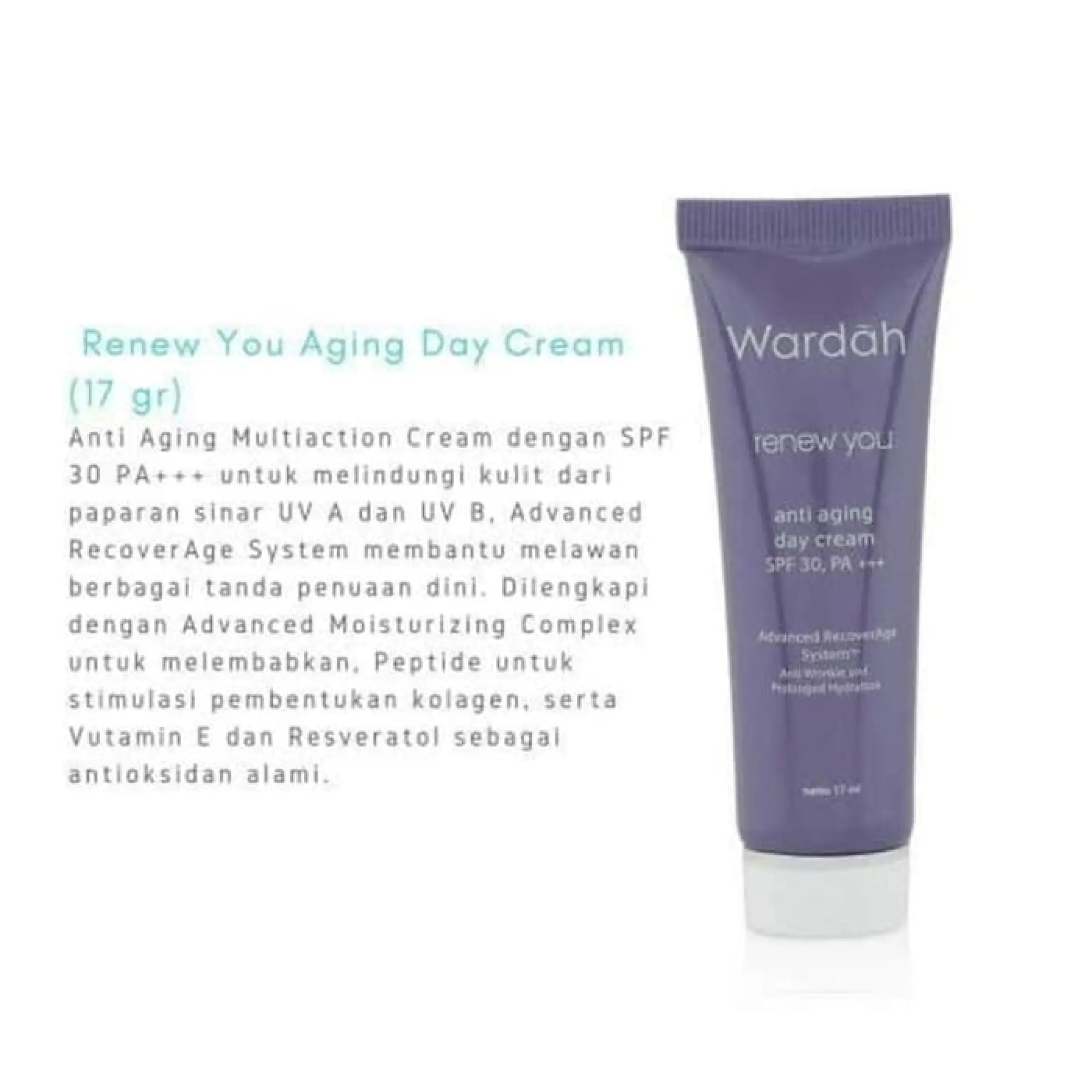 renew you anti aging day cream