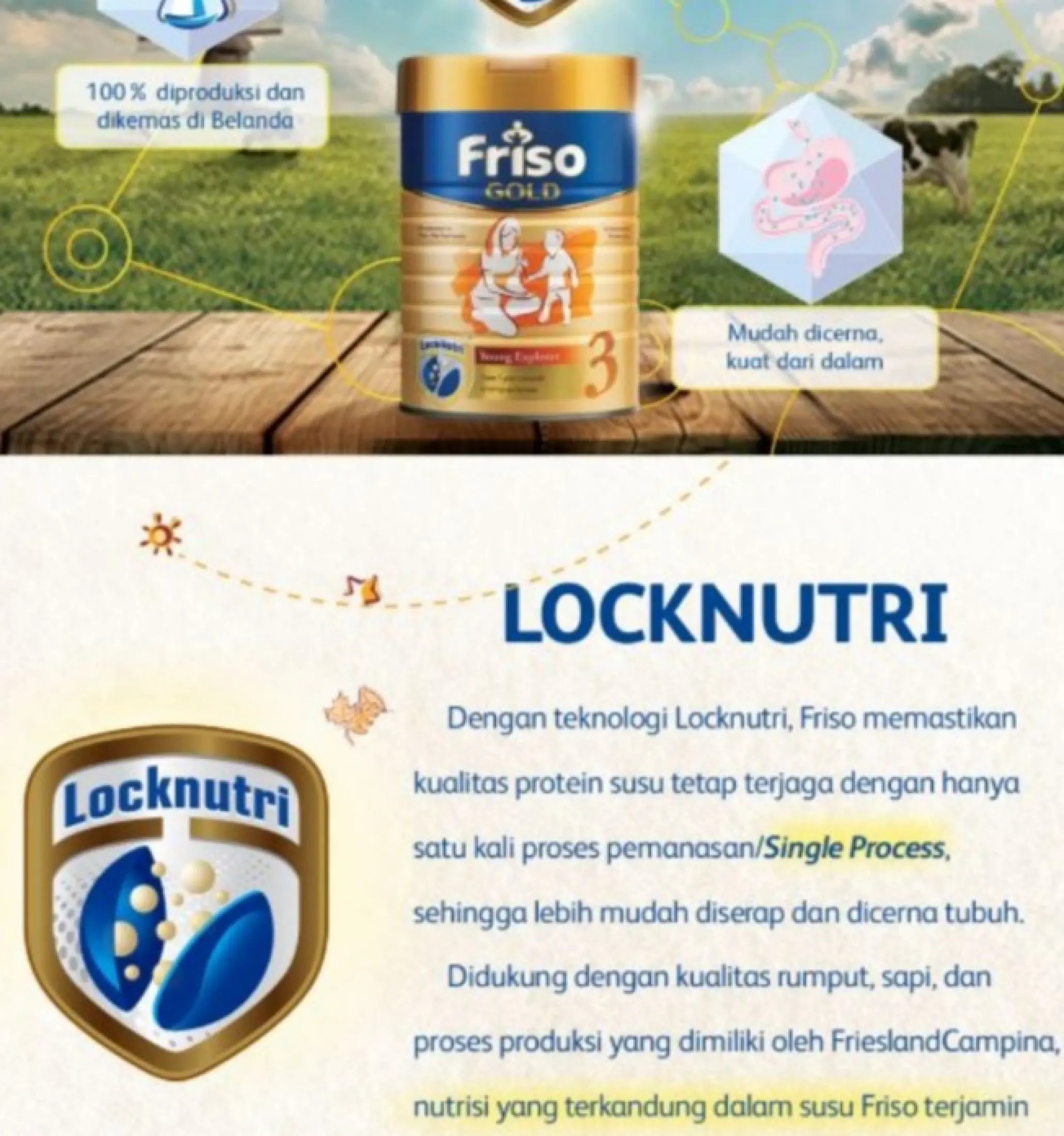 Susu Friso Gold 4 Friso