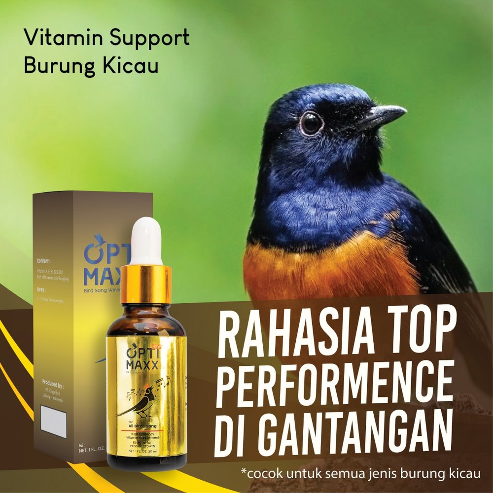 Optimaxx Vitamin Suplemen Tetes Burung Suara Gacor Obat Berkicau
