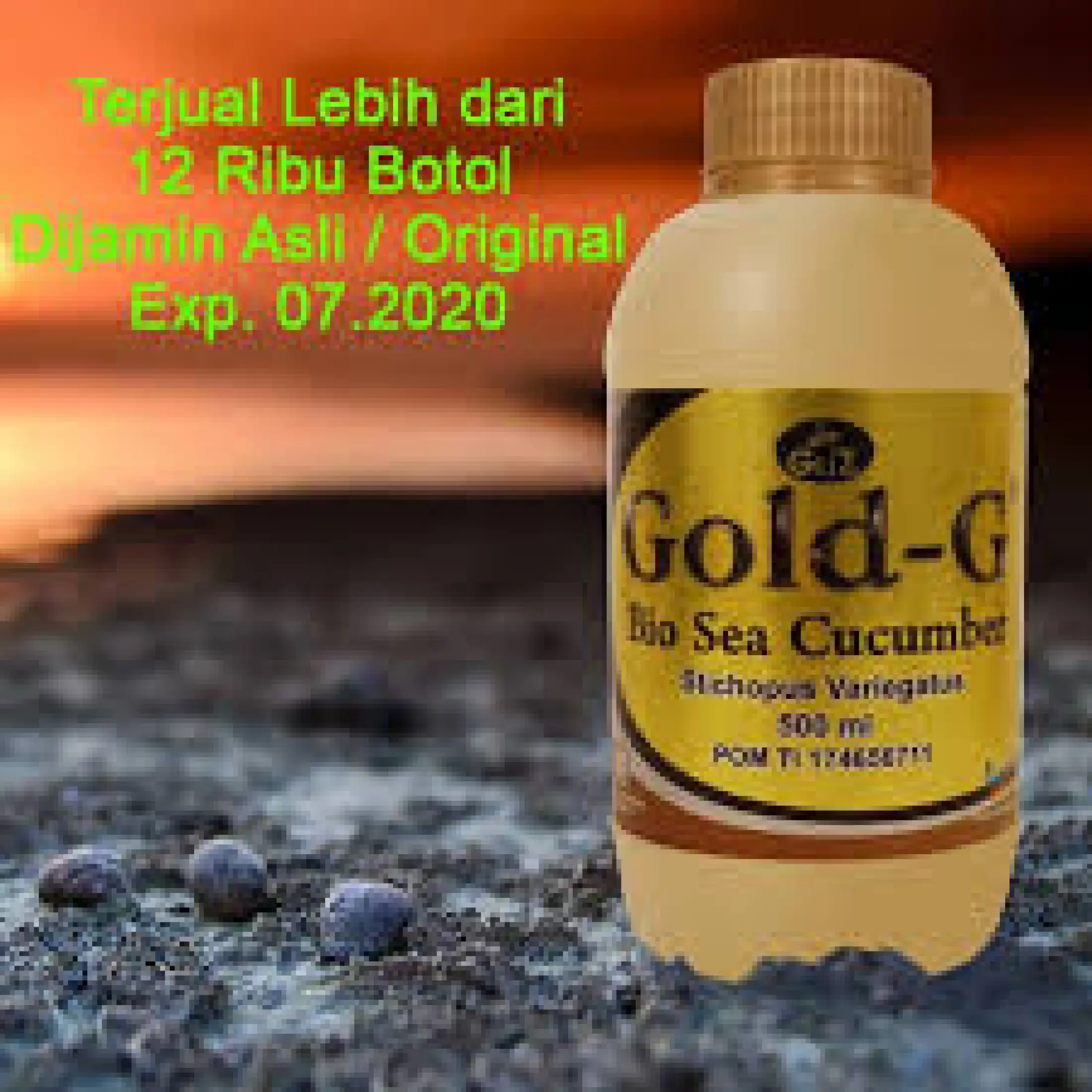 500 Jelly Gamat Gold G Sea Cucumber 500 Ml Gold G Atasi Osteoporosis 500ml Asli Original Lazada Indonesia