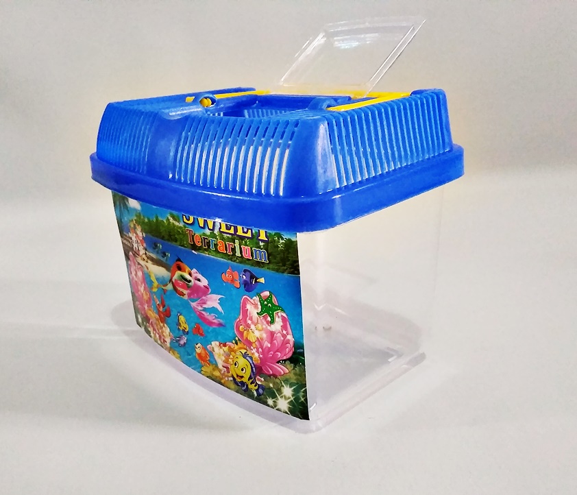 Terarium Mini Aquarium Plastik Unik Lucu Untuk Ikan Kura Kura