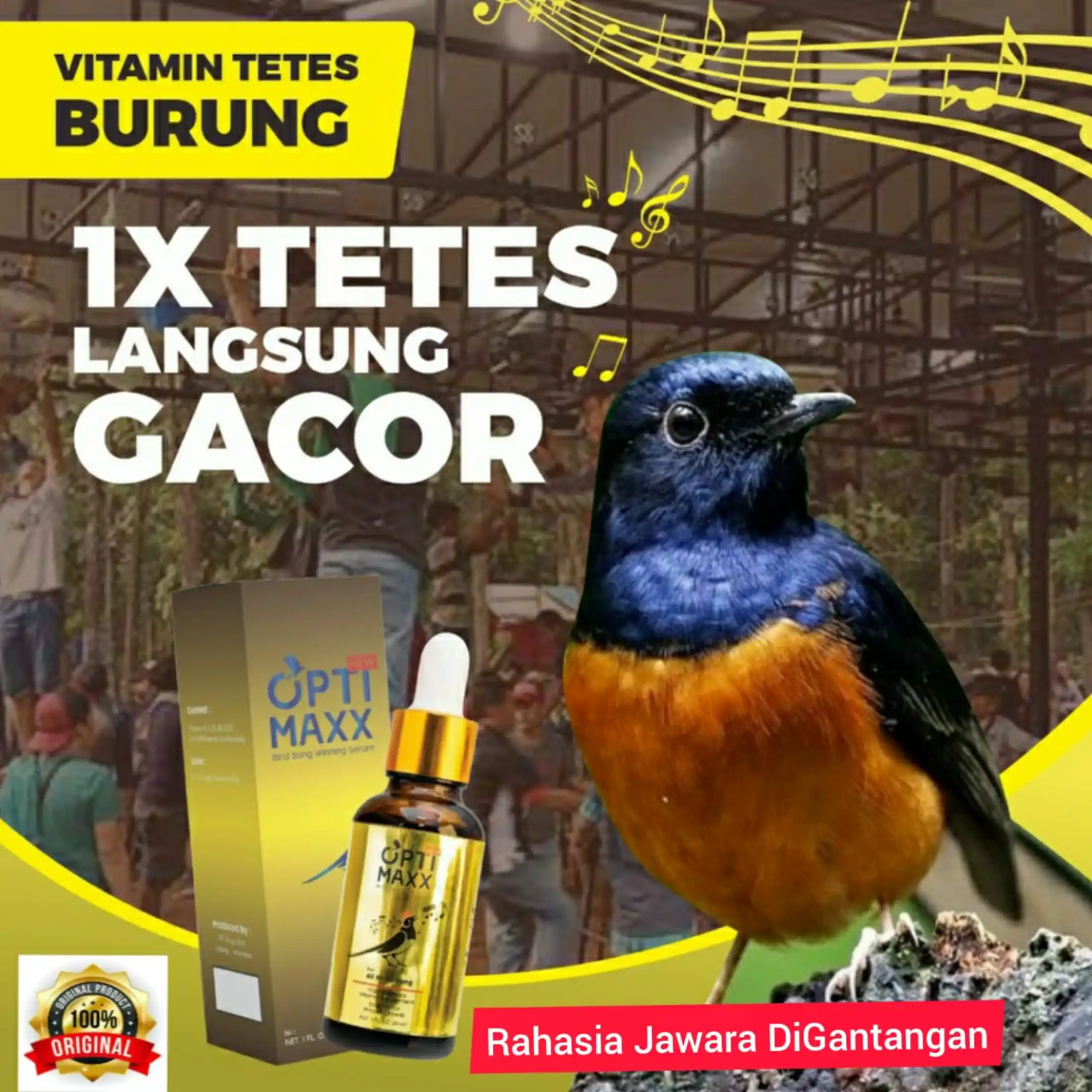 Vitamin Tetes Anti Stres Untuk Lomba Burung Berkicau Agar Gacor Di Gantangan Optimaxx Vitamin Burung Serum Vitamin Tetes Doping Burung Jawara Kicau Lazada Indonesia