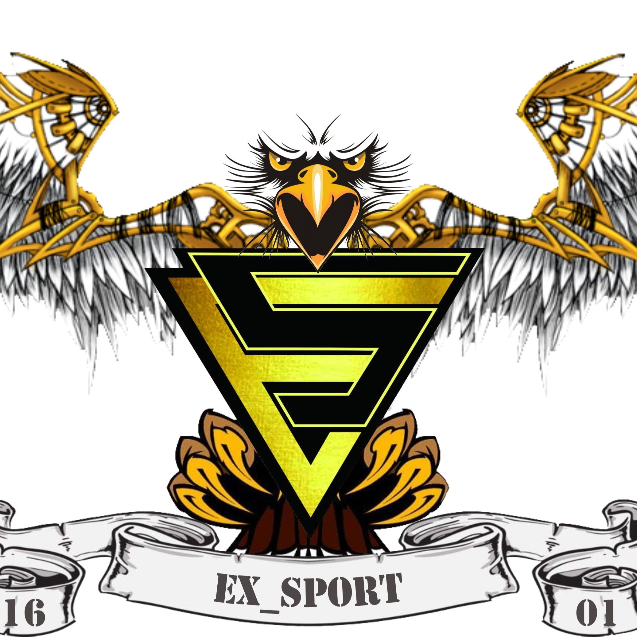 Ex sport