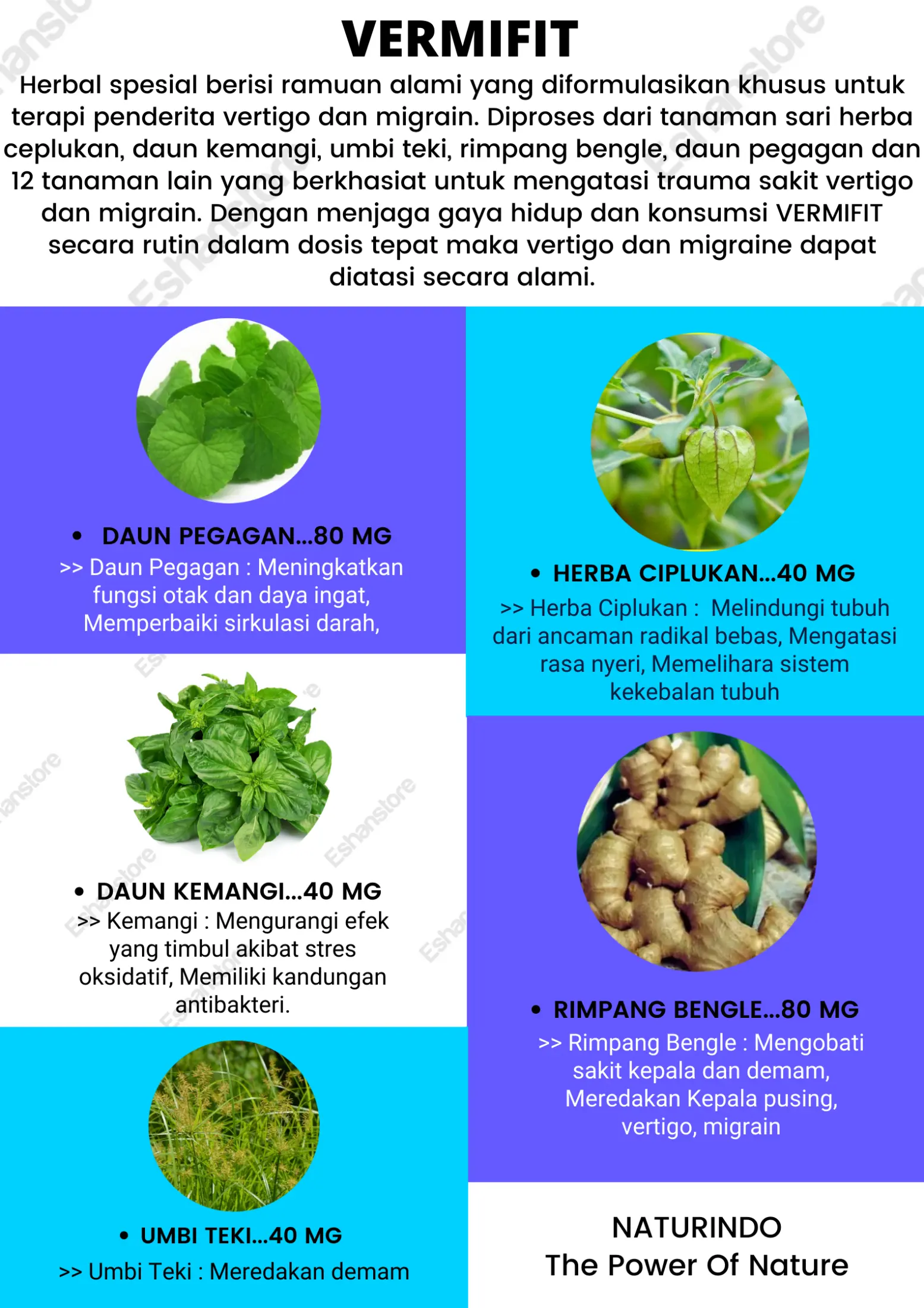 Obat Vertigo Pegagan Vertigo Paling Ampuh Vertigo Akut Vertigo Mertigo Sakit Kepala Pertigo Sakit Kepala Fertigo Herbal Vermifit Naturindo Bpom Bisa Cod 40 Kapsul Lazada Indonesia