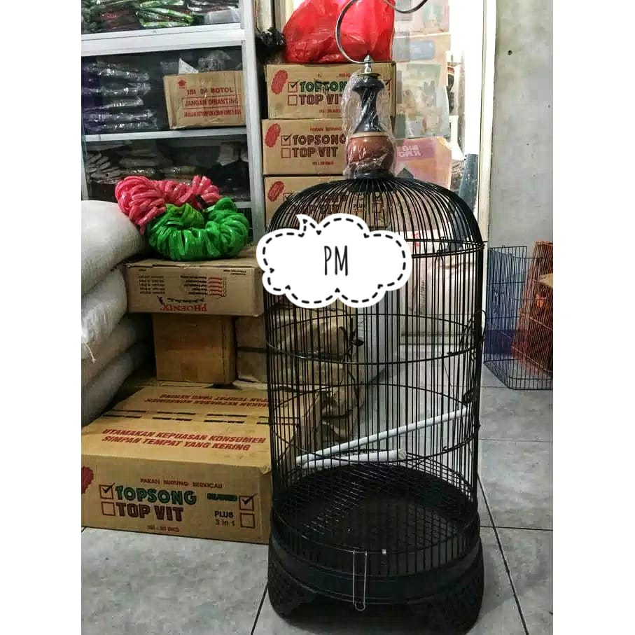 Kandang Burung Lovebird Sangkar Kapsul Kurung Burung Lovebird