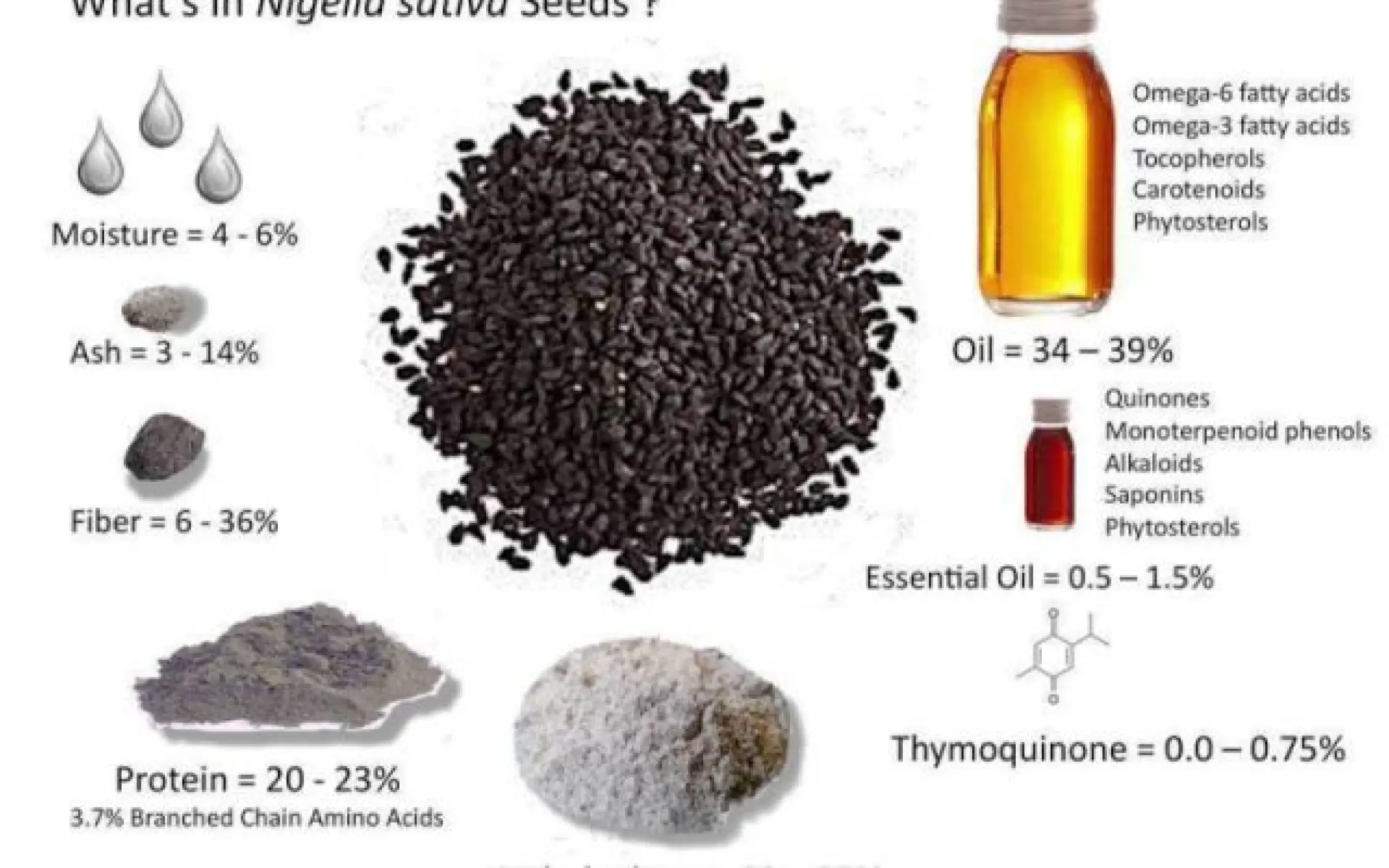 Jintan Hitam Jinten Hitam Habbatussauda Syria 100 Gram Biji Super Lazada Indonesia