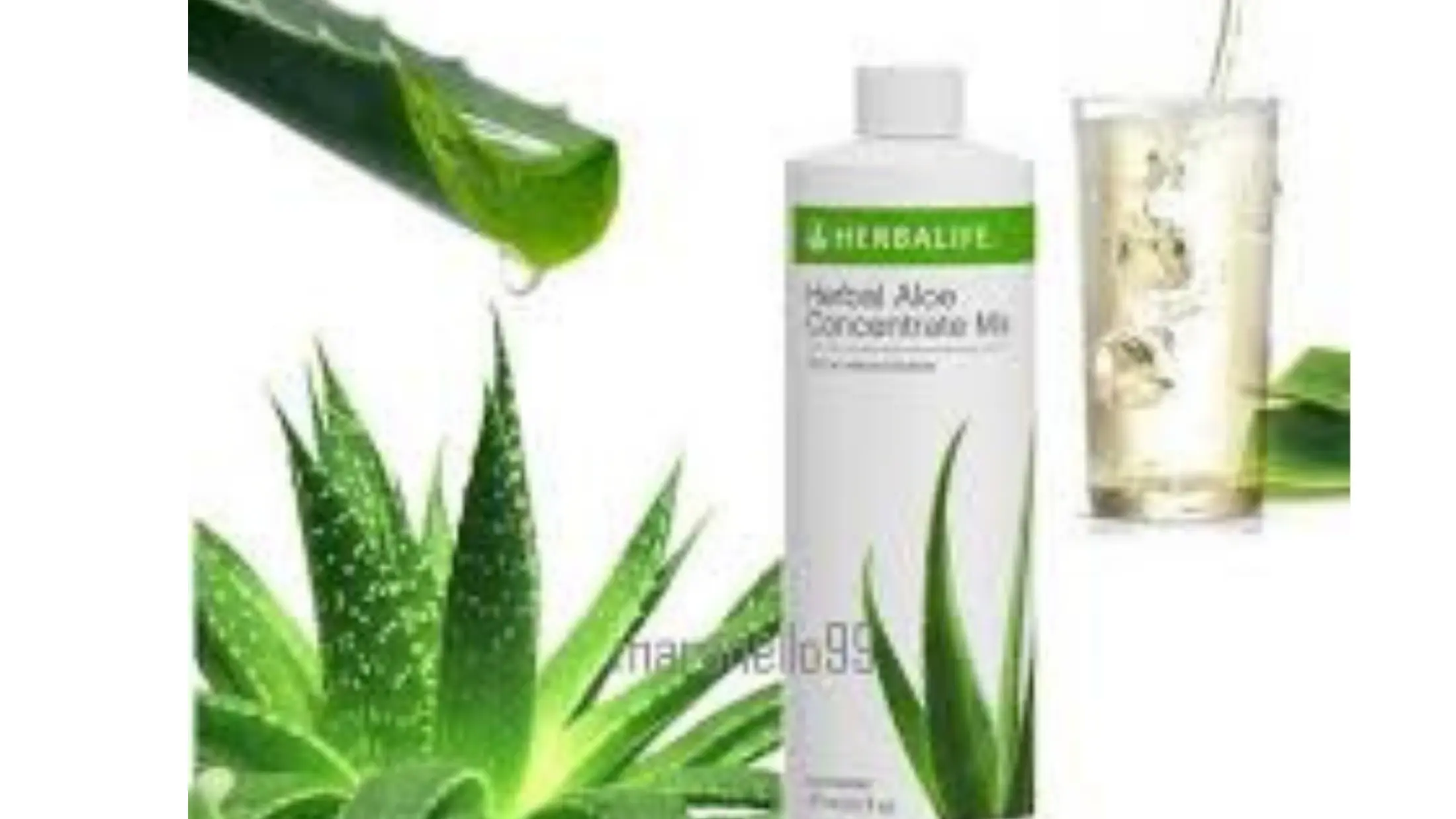 Herbalife Herbal Aloe Concentrate Original Minuman Pelangsing Terbaik Obat Saluran Pencernakan Pelancar Buang Air Besar Diet Sehat Dietpelangsing Obet Pencernakan Obatgangguan Pencernaan Seperti Maag Radang Usus Fara Bags Lazada Indonesia