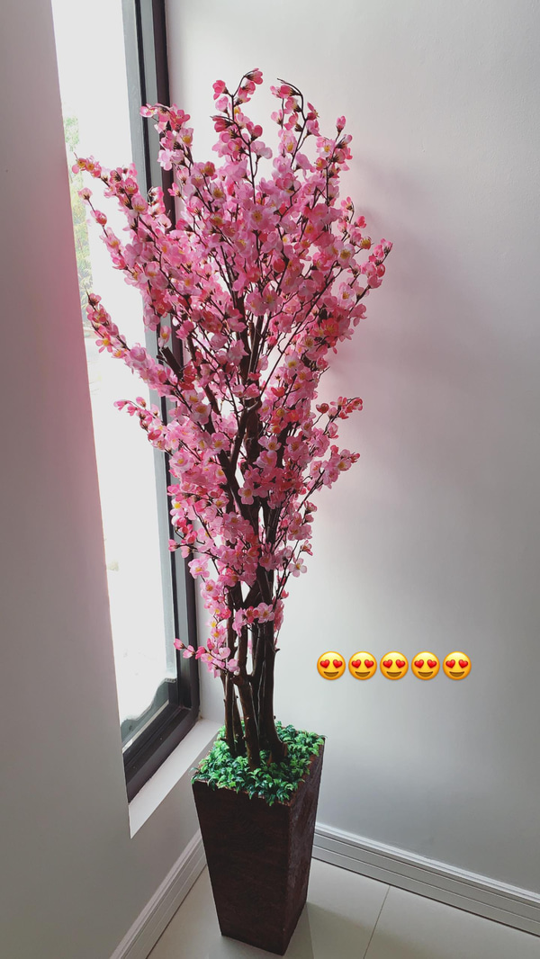 Termurah Pohon Sakura Plastik Artificial Palsu Tinggi 120 Cm Bunga Sakura Plastik Pohon Hias Plastik Pohon Plastik Besar Pohon Sudut Dekorasi Rumah Dekorasi Ruang Bunga Hias Plastik Bunga Sudut Lazada Indonesia
