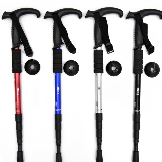best place to buy trekking poles