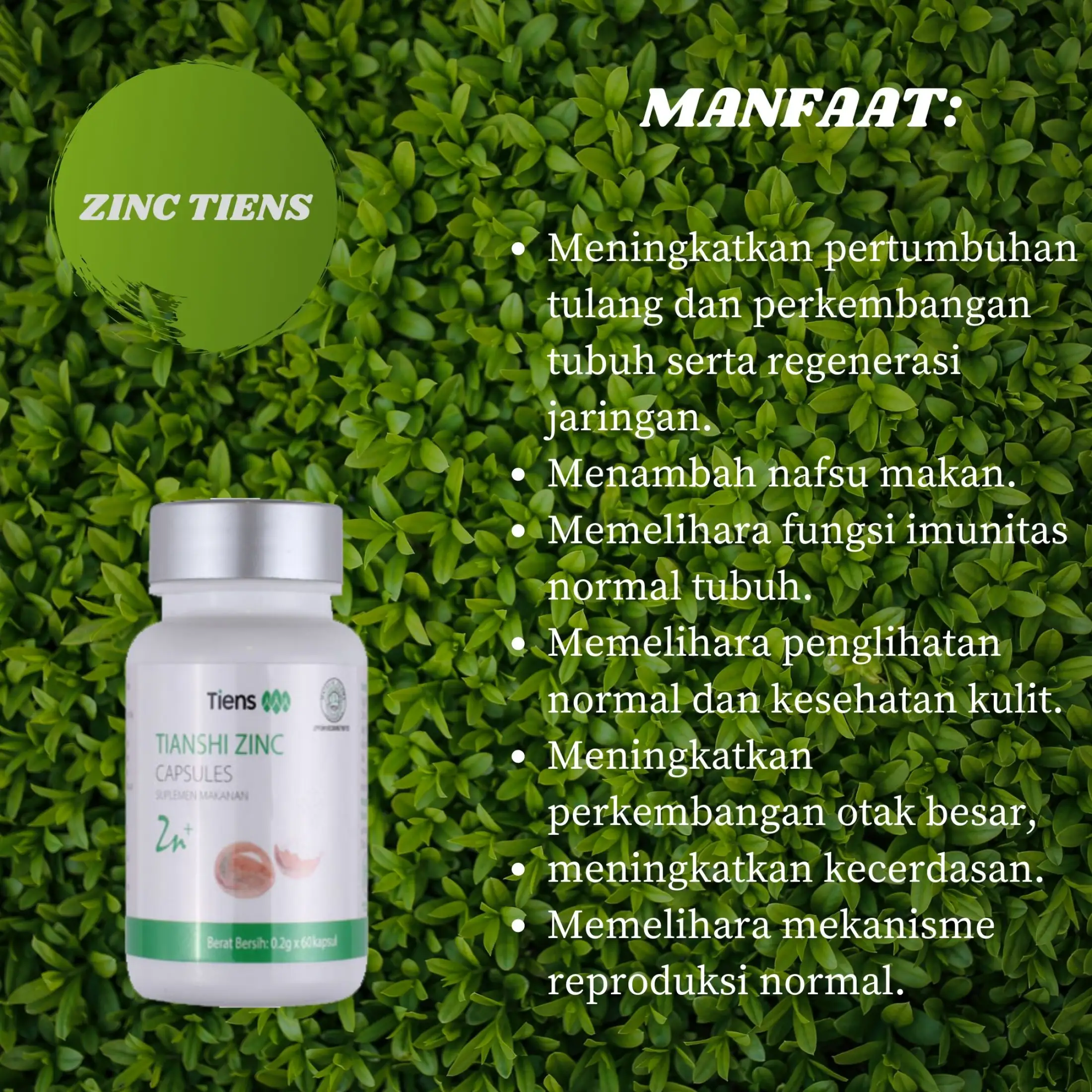 Tiens Zinc Capsules Isi 10 Kapsul Suplemen Penambah Berat Badan Suplemen Penggemuk Badan Isi 10 Kapsul Promo Original Ivendho Tiens Herbal Lazada Indonesia