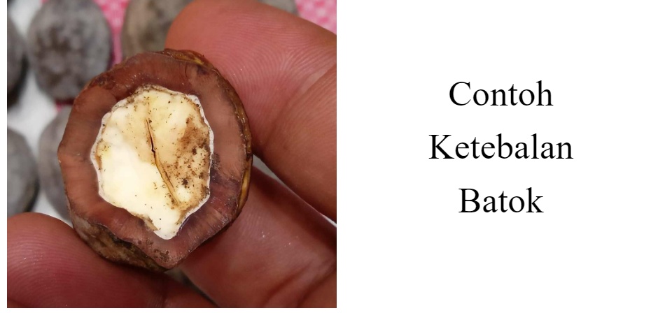 Orgazm uchun porno kunnilingus