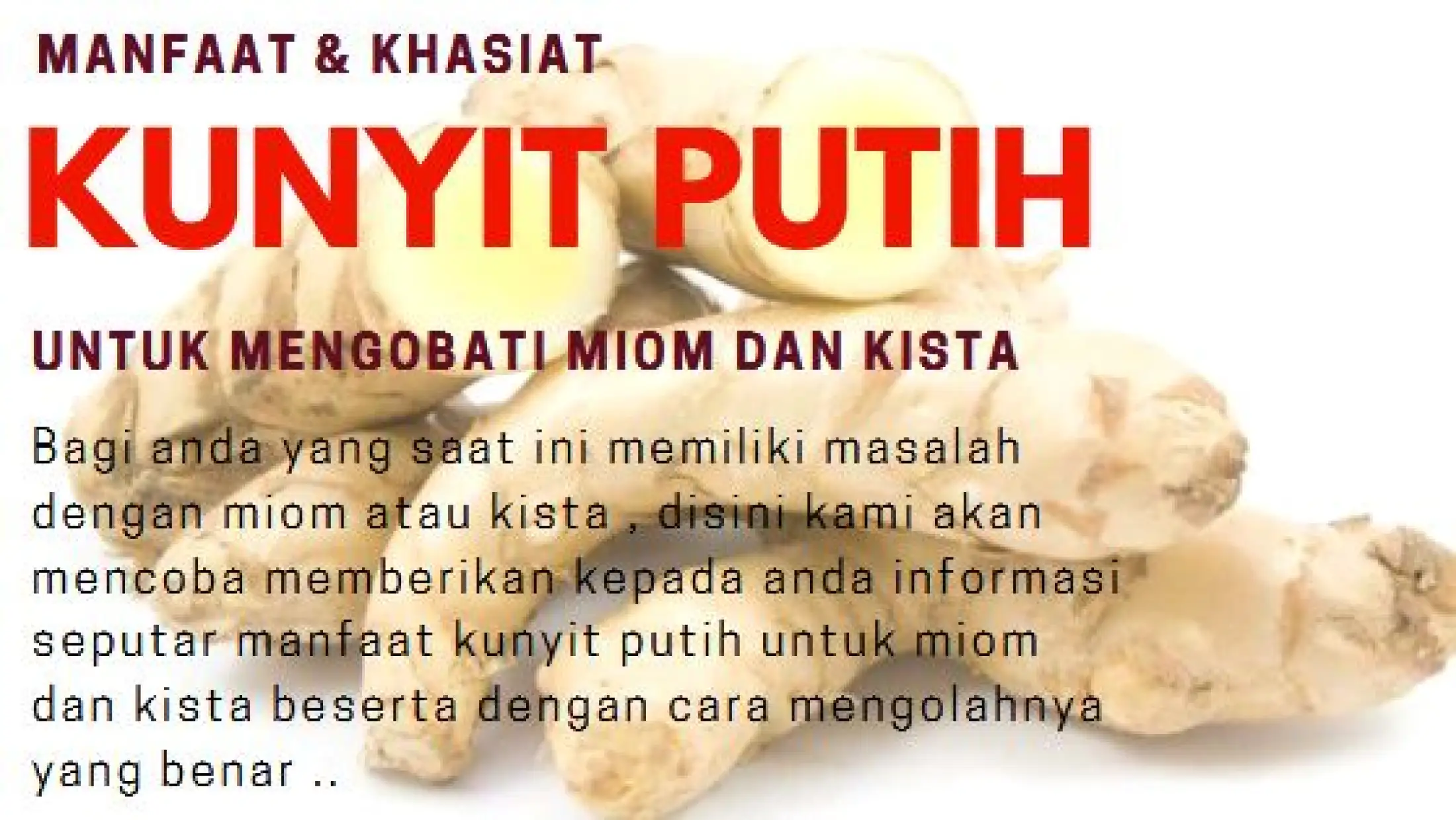 Ternyata Manfaat Kunyit Putih Untuk Ibu Menyusui 