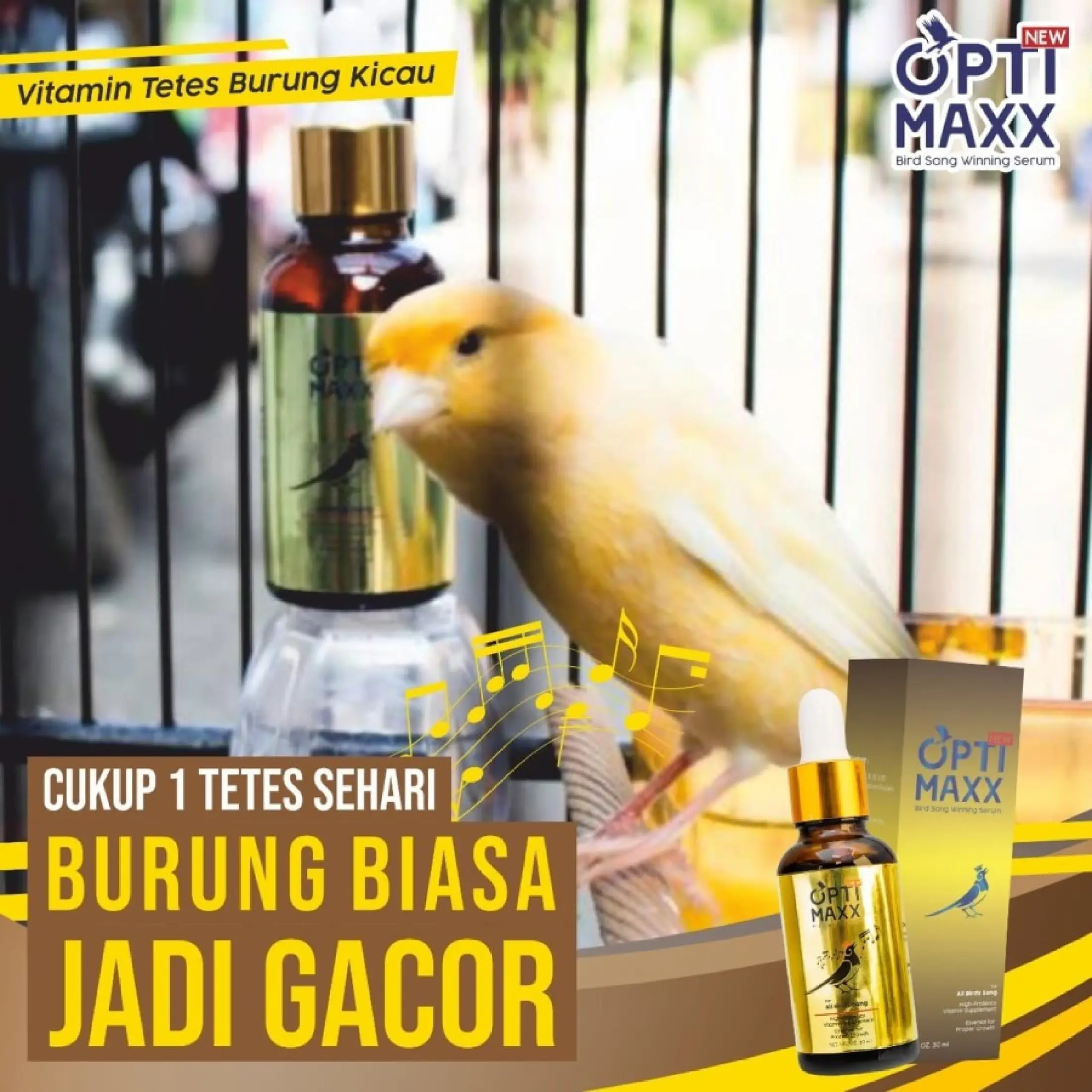 Optimaxx Rahasia Suplemen Burung Kelas Lomba Gantangan Lazada Indonesia Optimaxx Rahasia Suplemen Burung Kelas Lomba Gantangan Lazada Indonesia
