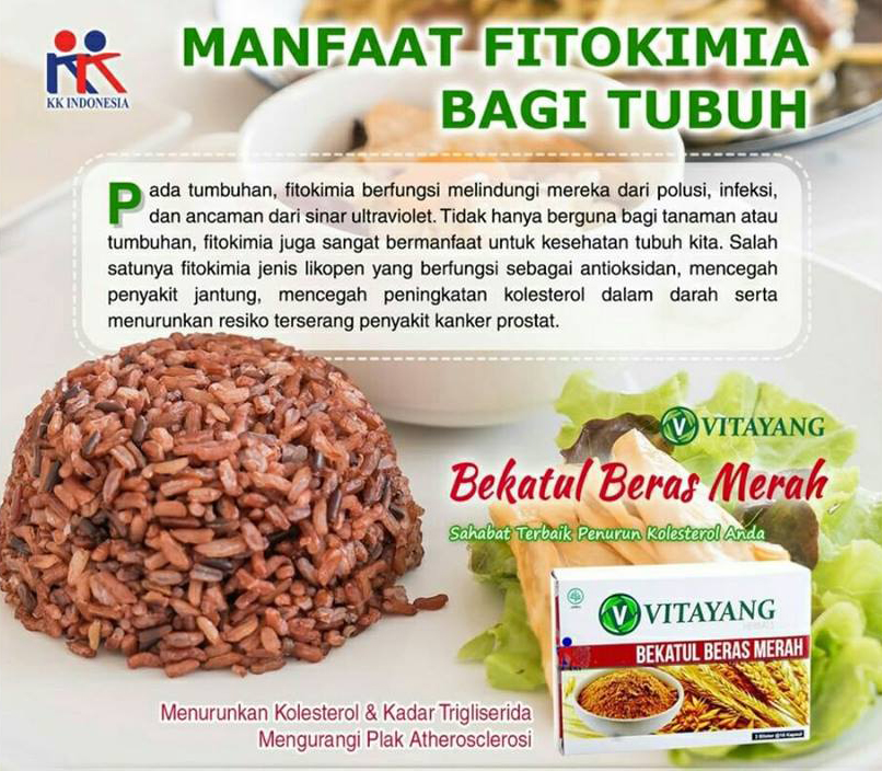 Vitayang Bekatul Beras Merah Kk Indonesia Herbal Menurunkan Kolesterol Menurunkan Berat Badan 100 Original Lazada Indonesia