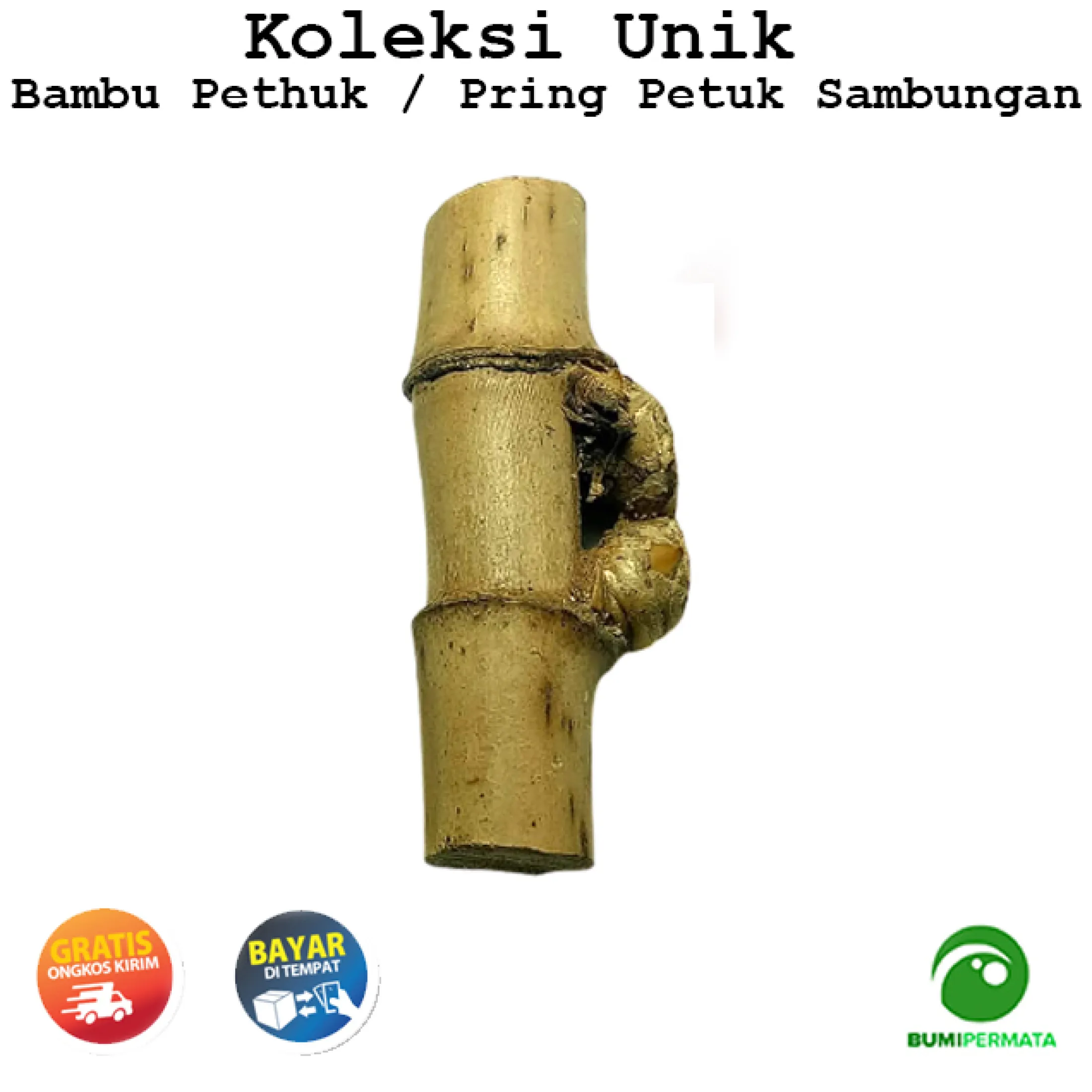 Pring Petuk Bambu Ruas Bertemu Lazada Indonesia