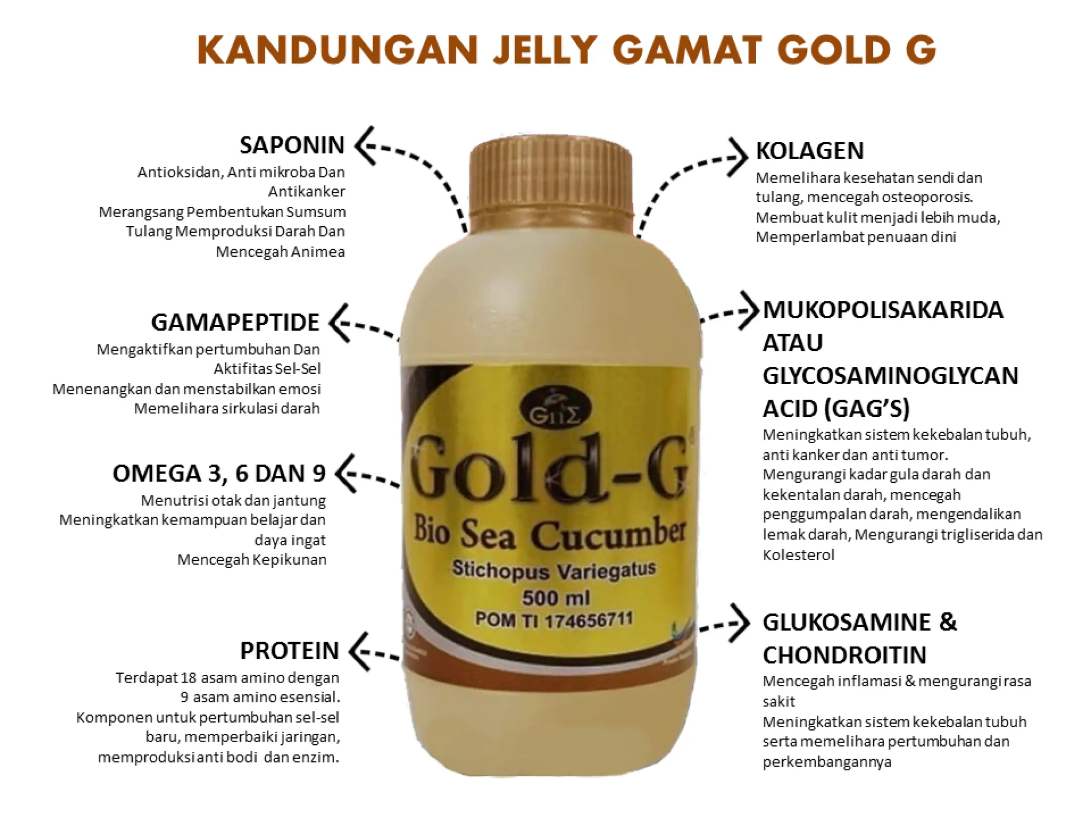 Gold G Bio Sea Cucumber 500 Ml Penghancur Batu Ginjal Alami Lazada Indonesia