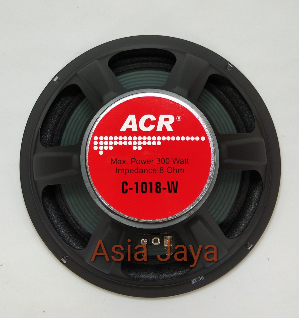 speaker acr 10 inch