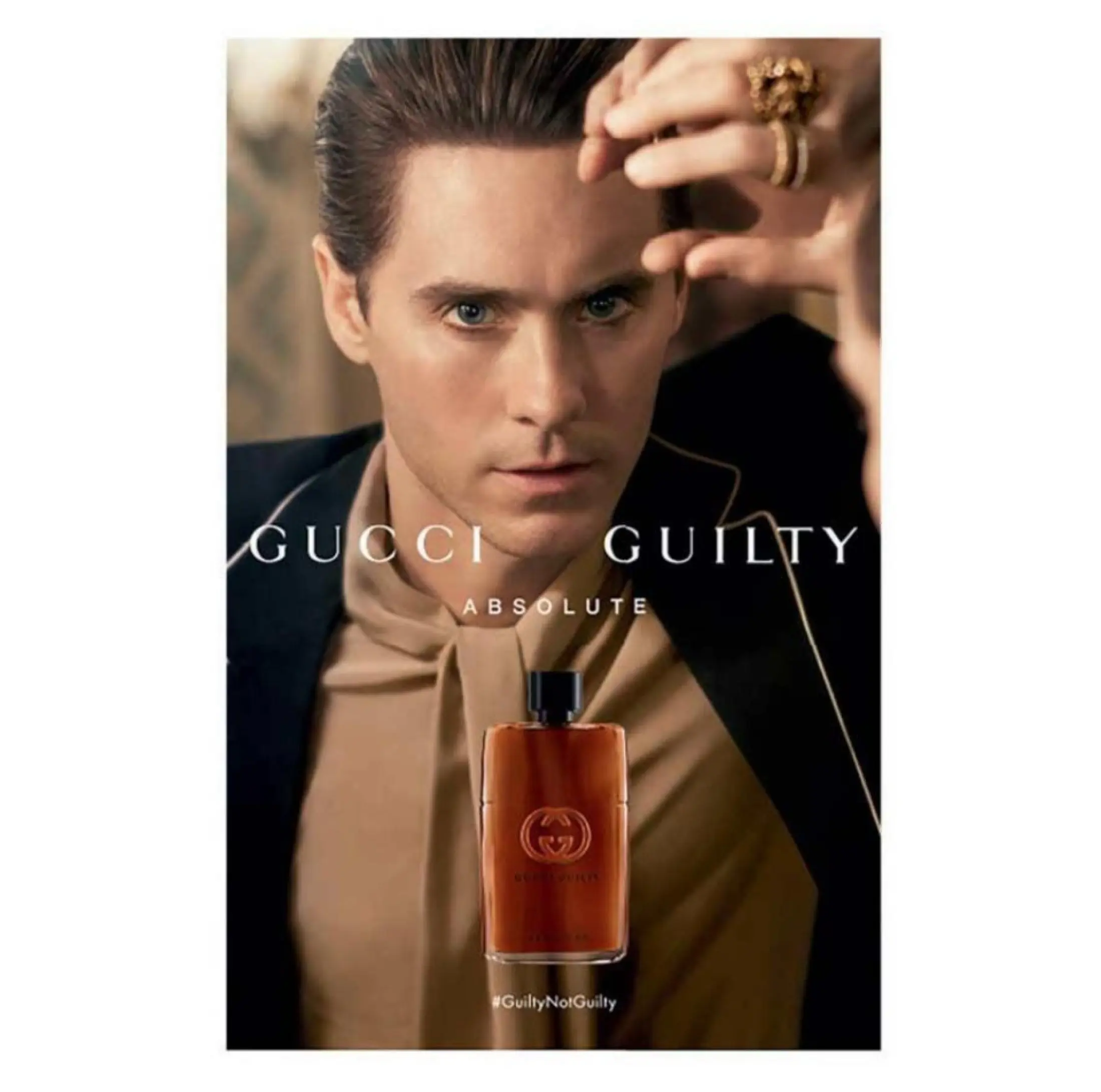 gucci absolute homme