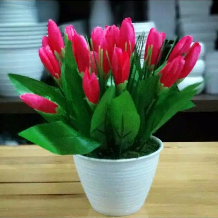 Gl Bunga Tulip Cantik Dengan Pot Tawon Tinggi 22 Cm Hiasan Ruang Tamu Dan Kantor Lazada Indonesia