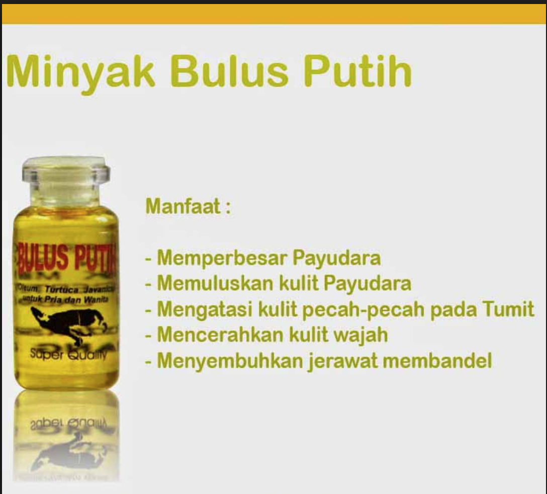 Hoki Cod Original Minyak Bulus Putih Pembesar Pengencang Payudara Gratis Cetak Alis Cantik Premium Lazada Indonesia