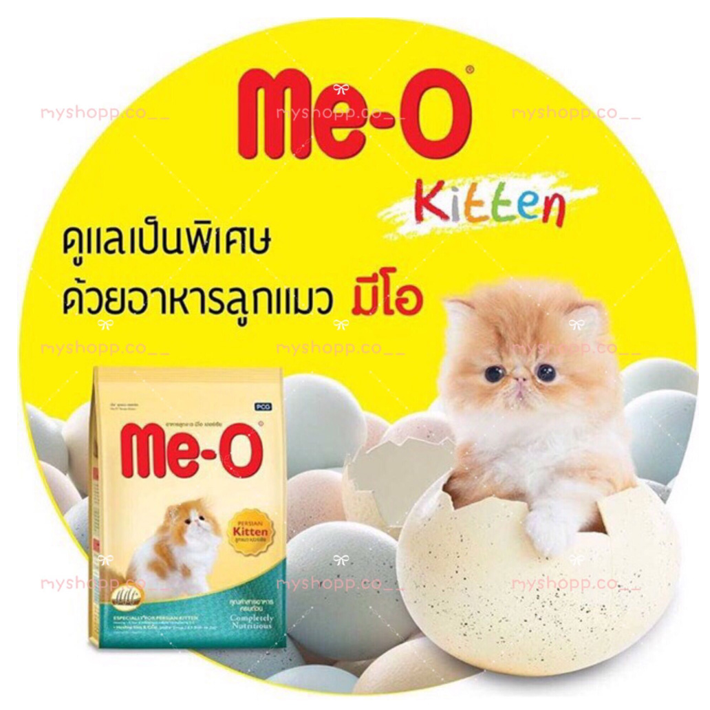 meo persian cat food