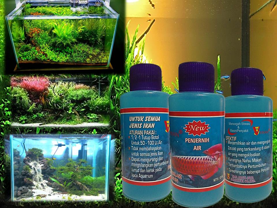 Penjernih Air Aquascape Akuarium 100ml Lazada Indonesia