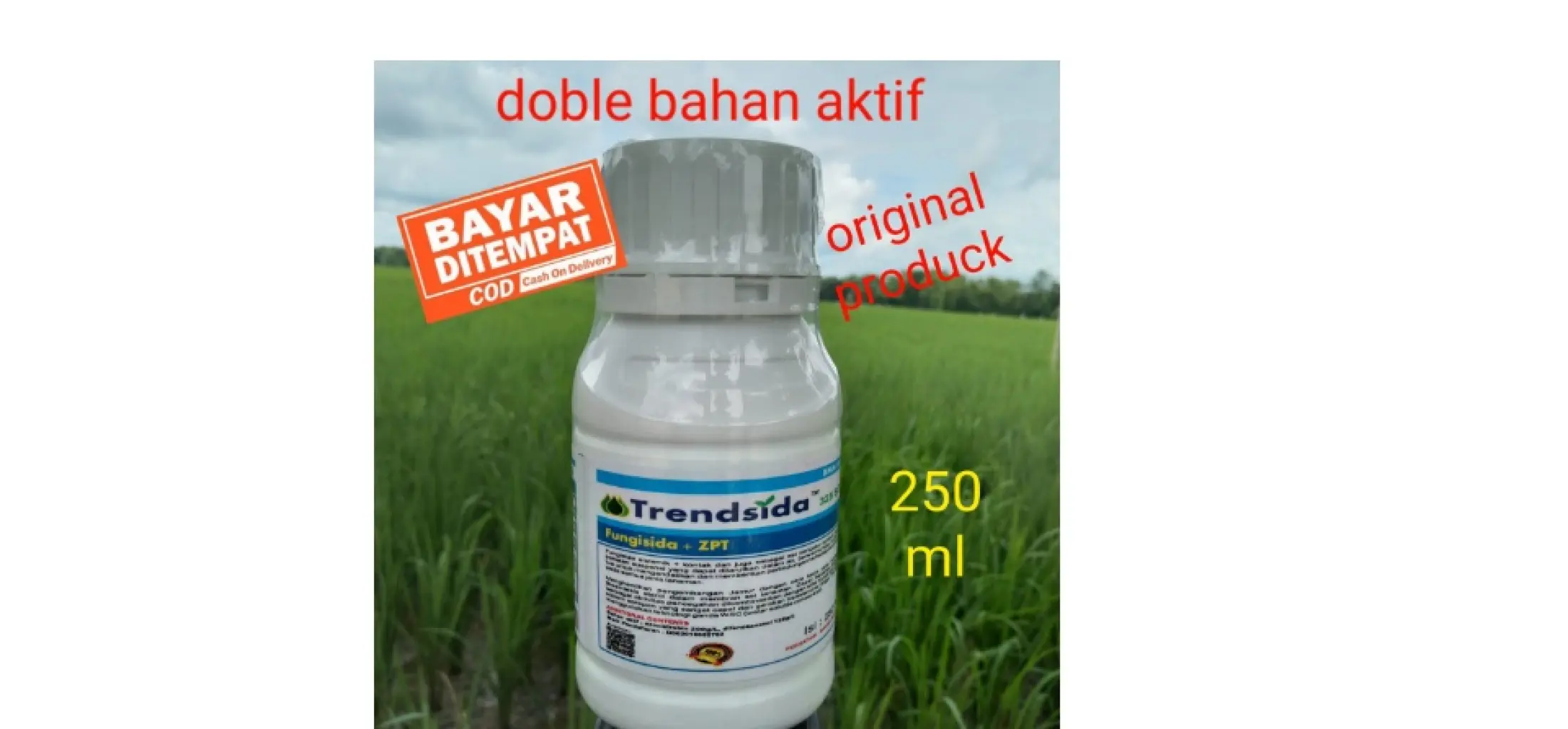 Fungisida Trendsida 325 Sc 250 Ml Trensida Obat Trendsida Anti Jamur Tanaman Boster Padi 7 Bahan Aktif Produk Asli Laris Trendsida 325 Sc Pengganti 335 Wsc Untuk Jamur Potong Leher Bobot Padi Sawah Lazada Indonesia