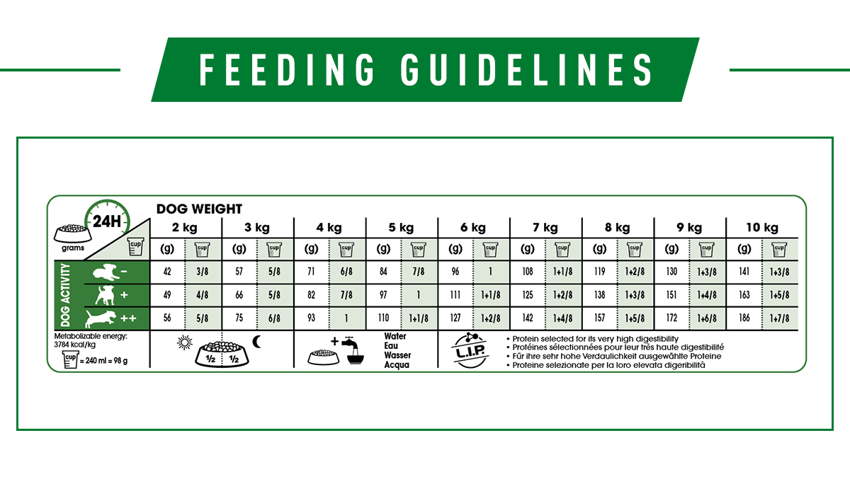 royal canin mini starter feeding guide
