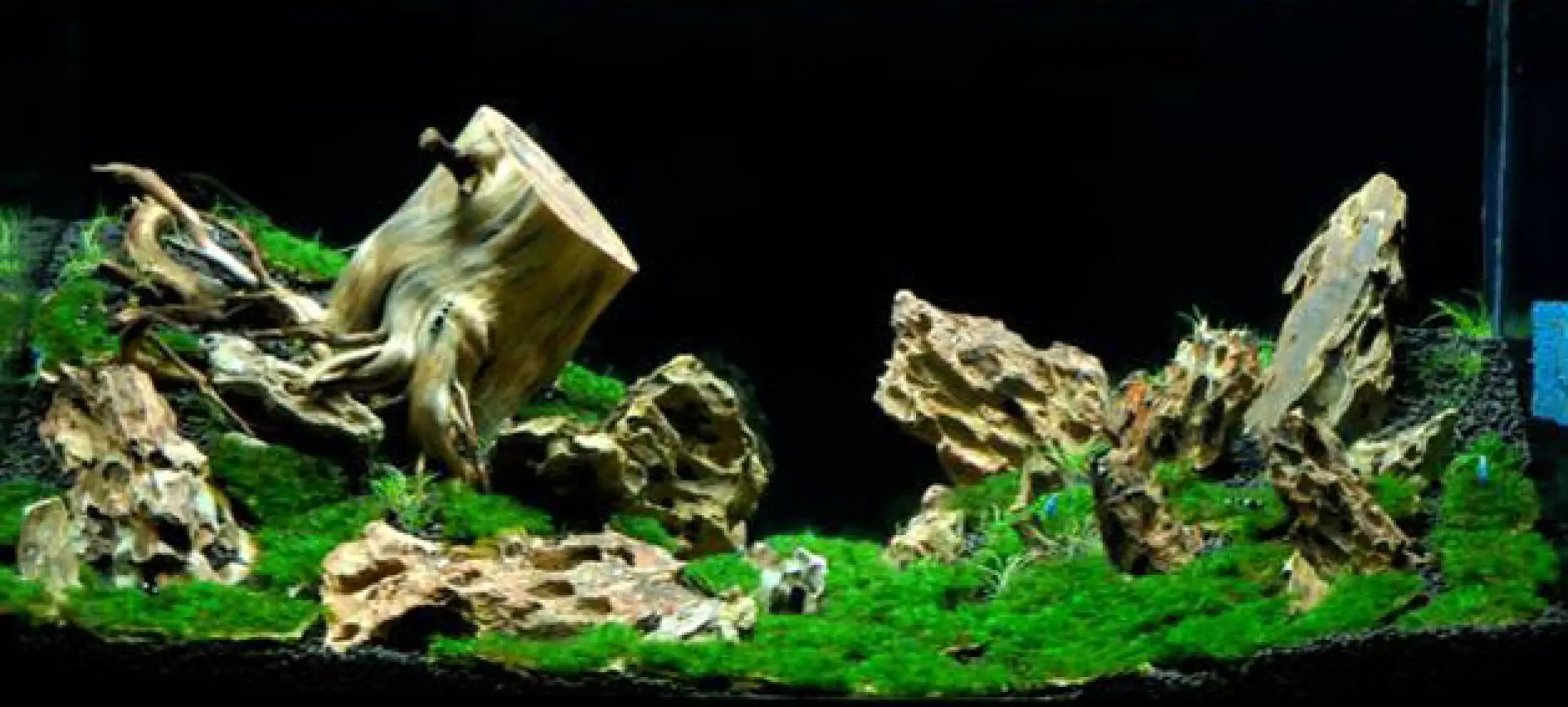 Sticker Skotlet Background Aquarium Sticker Cabin Hitam Glossy Anti Air Dan Minyak Hot Sale Lazada Indonesia